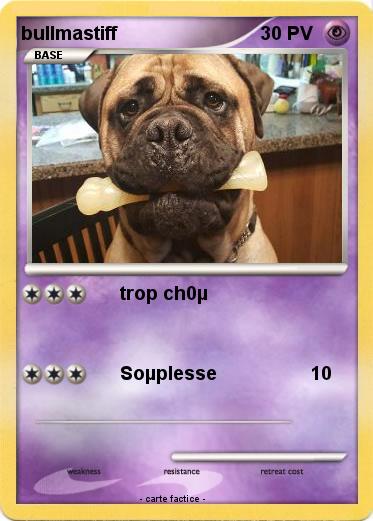 Pokemon bullmastiff
