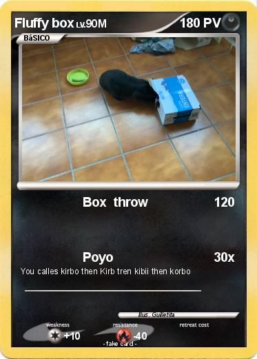 Pokemon Fluffy box