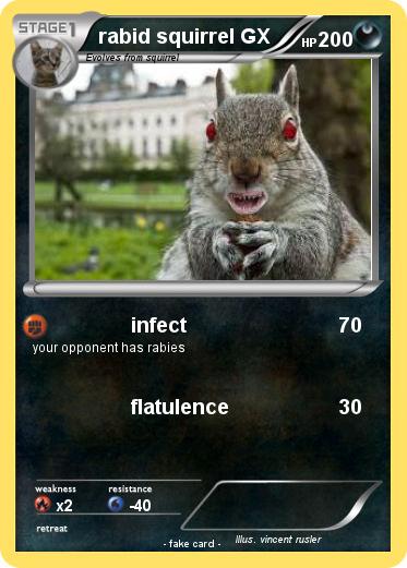 Pokemon rabid squirrel GX