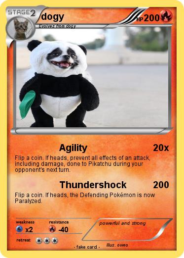 Pokemon dogy