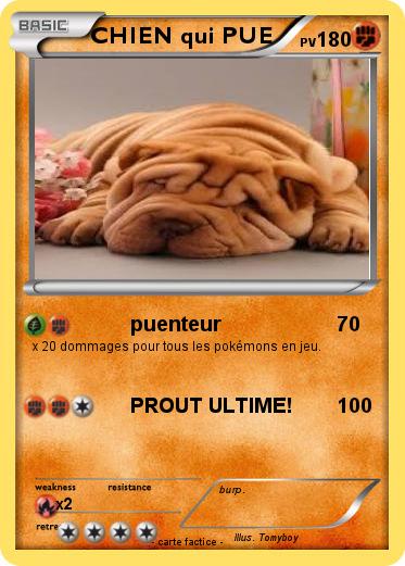 Pokemon CHIEN qui PUE