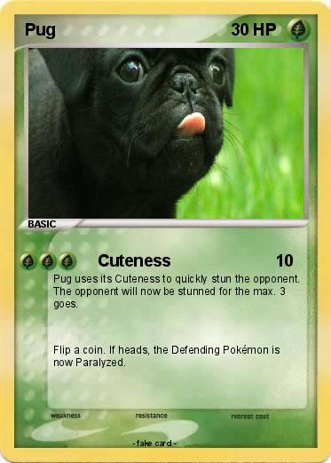Pokemon Pug