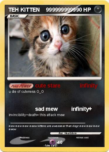 Pokemon TEH KITTEN    9999999999