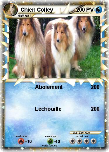 Pokemon Chien Colley