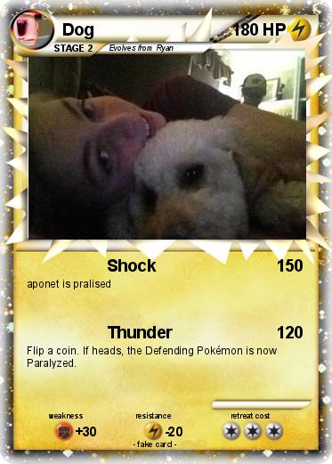Pokemon Dog