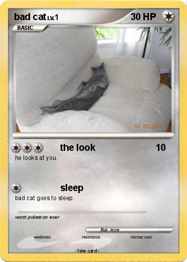 Pokemon bad cat