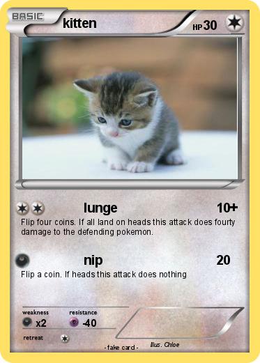 Pokemon kitten