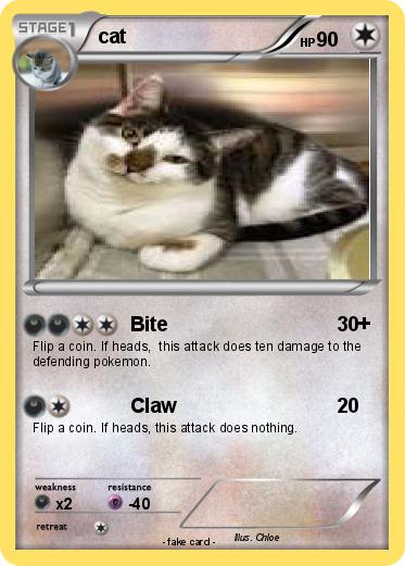 Pokemon cat