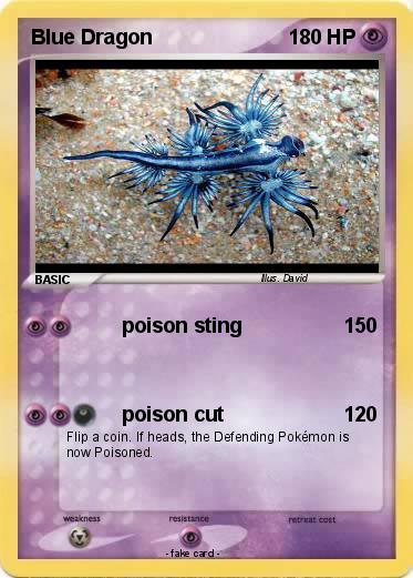 Pokemon Blue Dragon