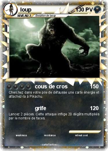Pokemon loup