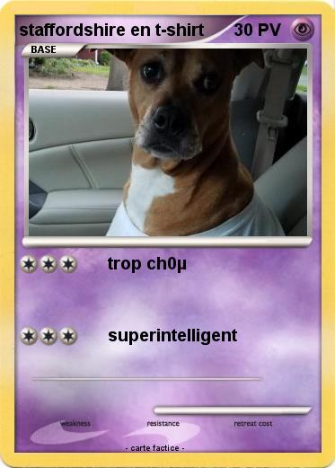 Pokemon staffordshire en t-shirt