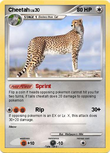Pokemon Cheetah
