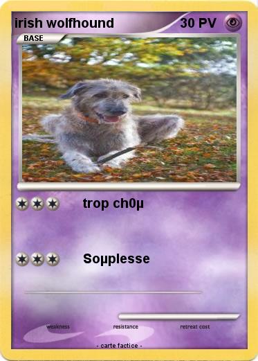 Pokemon irish wolfhound