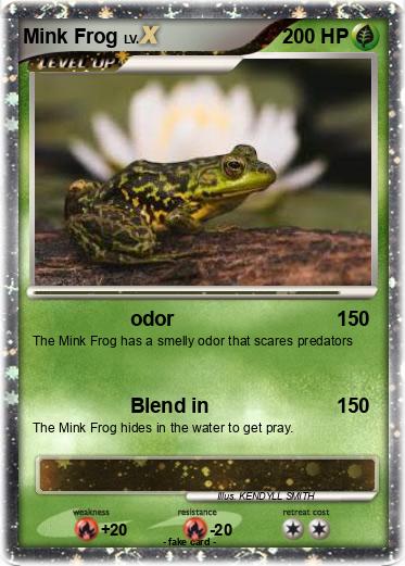 Pokemon Mink Frog