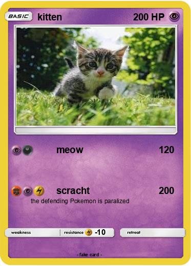 Pokemon kitten
