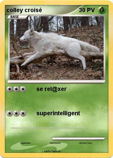 Pokemon colley croisé