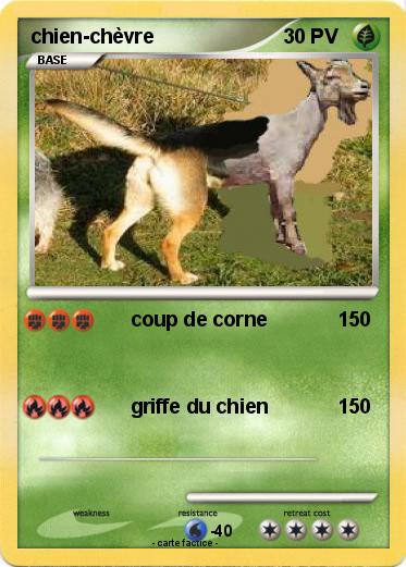 Pokemon chien-chèvre