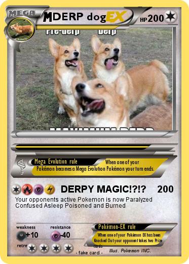 Pokemon DERP dog
