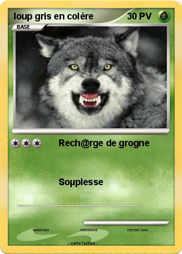 Pokemon loup gris en colère