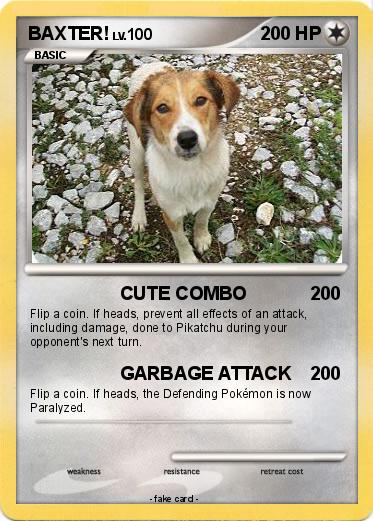 Pokemon BAXTER!