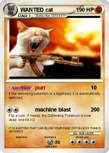 Pokemon WANTED cat