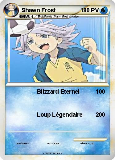 Pokemon Shawn Frost