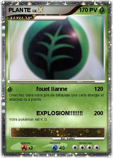 Pokemon PLANTE