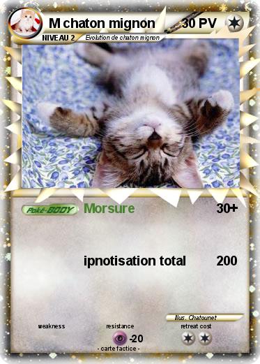 Pokemon M chaton mignon