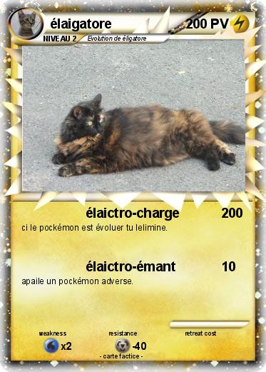 Pokemon élaigatore