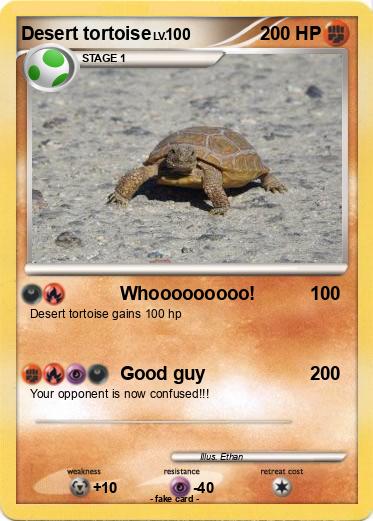 Pokemon Desert tortoise