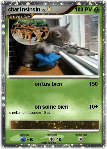 Pokemon chat insinsin