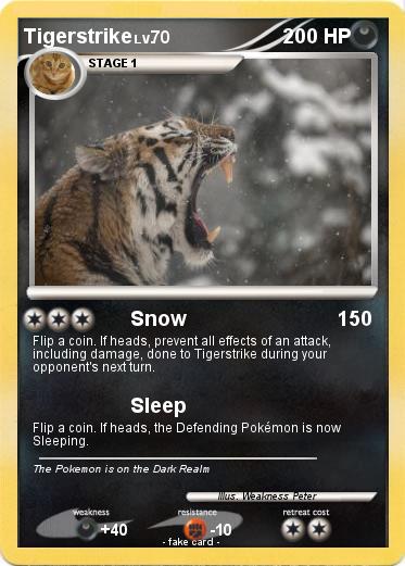Pokemon Tigerstrike