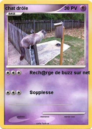Pokemon chat drôle