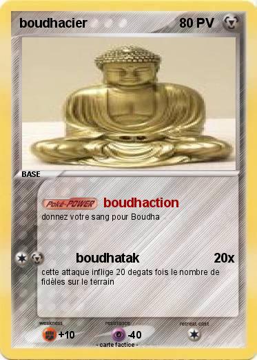 Pokemon boudhacier