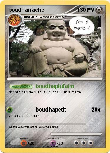 Pokemon boudharrache