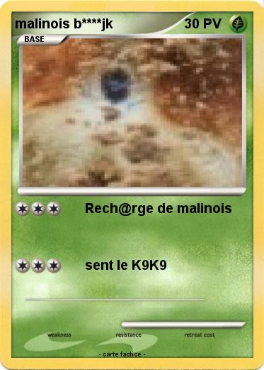 Pokemon malinois b****jk