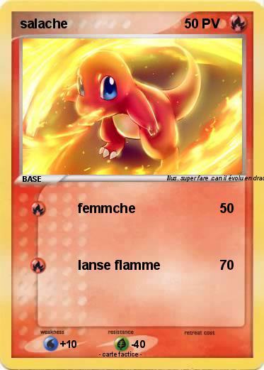 Pokemon salache