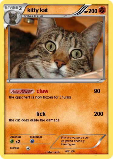 Pokemon kitty kat
