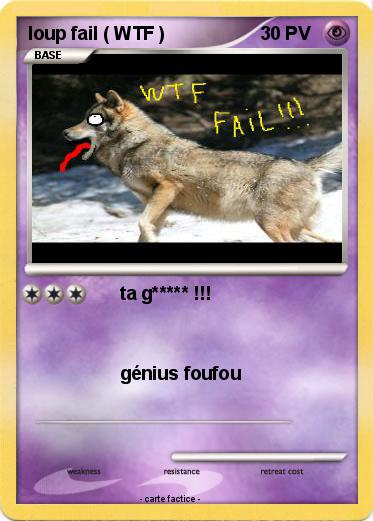 Pokemon loup fail ( WTF )