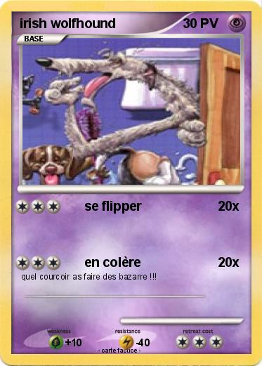 Pokemon irish wolfhound