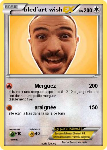 Pokemon bled'art wish