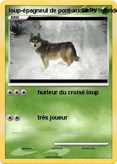 Pokemon loup-épagneul de pont-audemer hybride