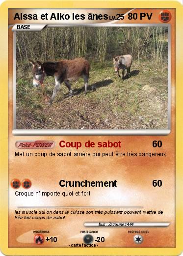 Pokemon Aissa et Aiko les ânes