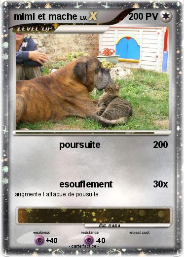 Pokemon mimi et mache