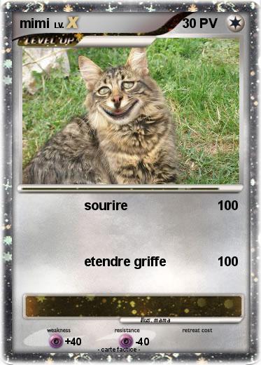 Pokemon mimi