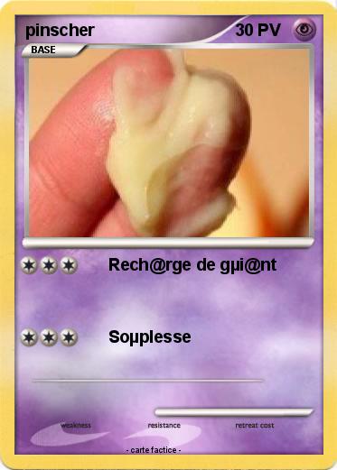 Pokemon pinscher