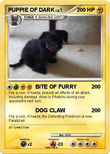Pokemon PUPPIE OF DARK