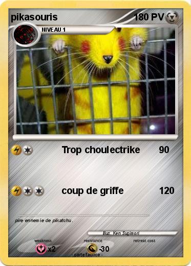 Pokemon pikasouris