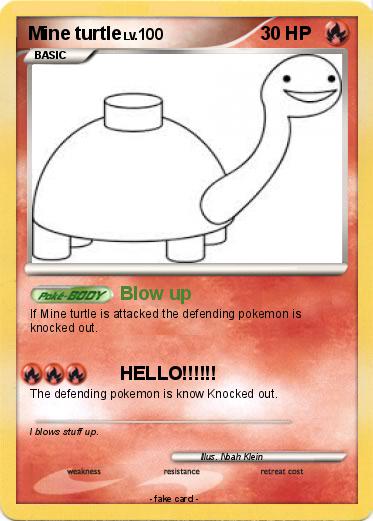 Pokemon Mine turtle