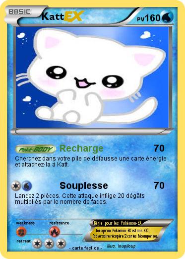 Pokemon Katt